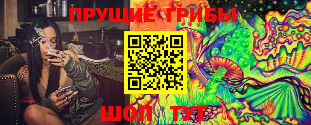 Псилоцибиновые грибы Psilocybe Ханты-Мансийск